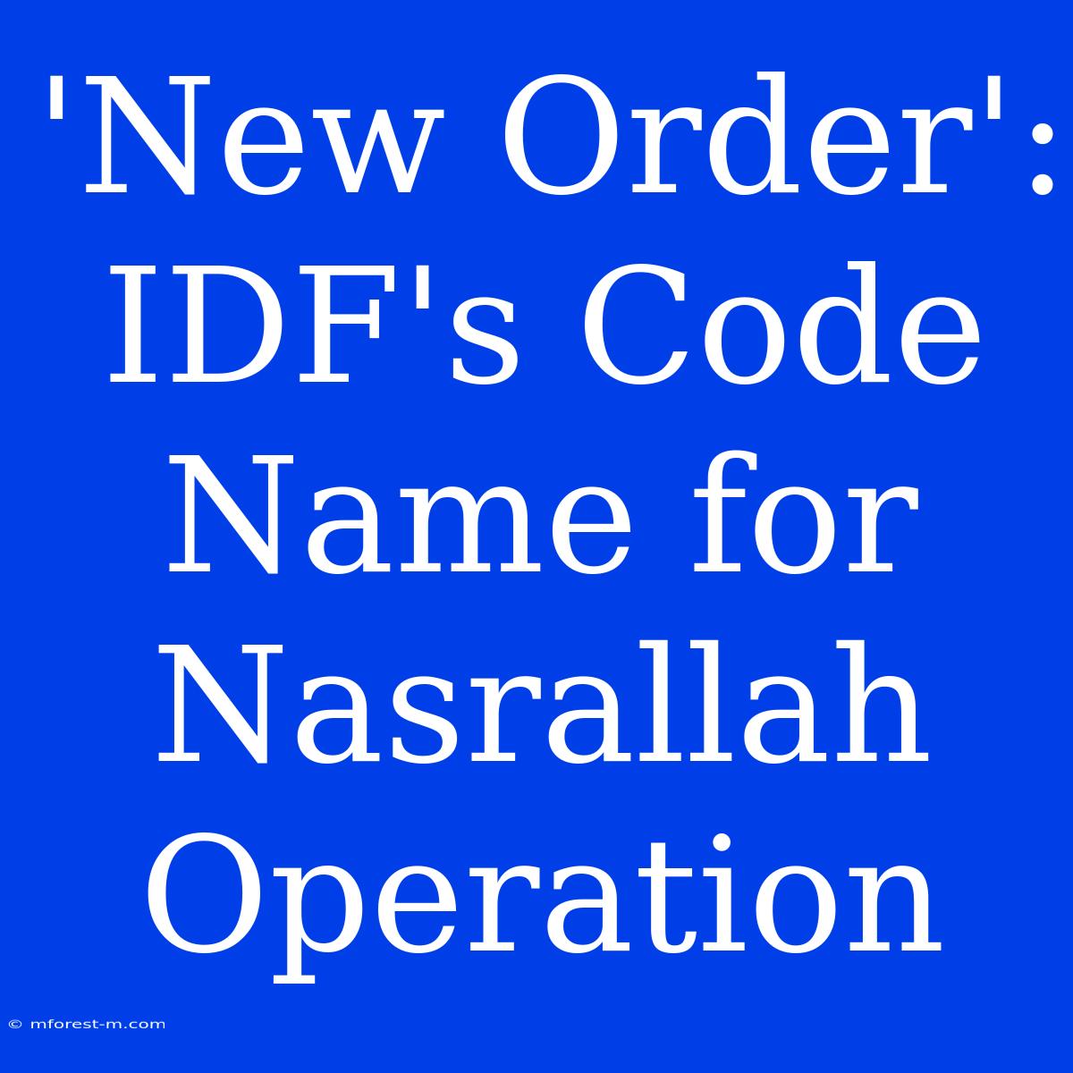 'New Order': IDF's Code Name For Nasrallah Operation