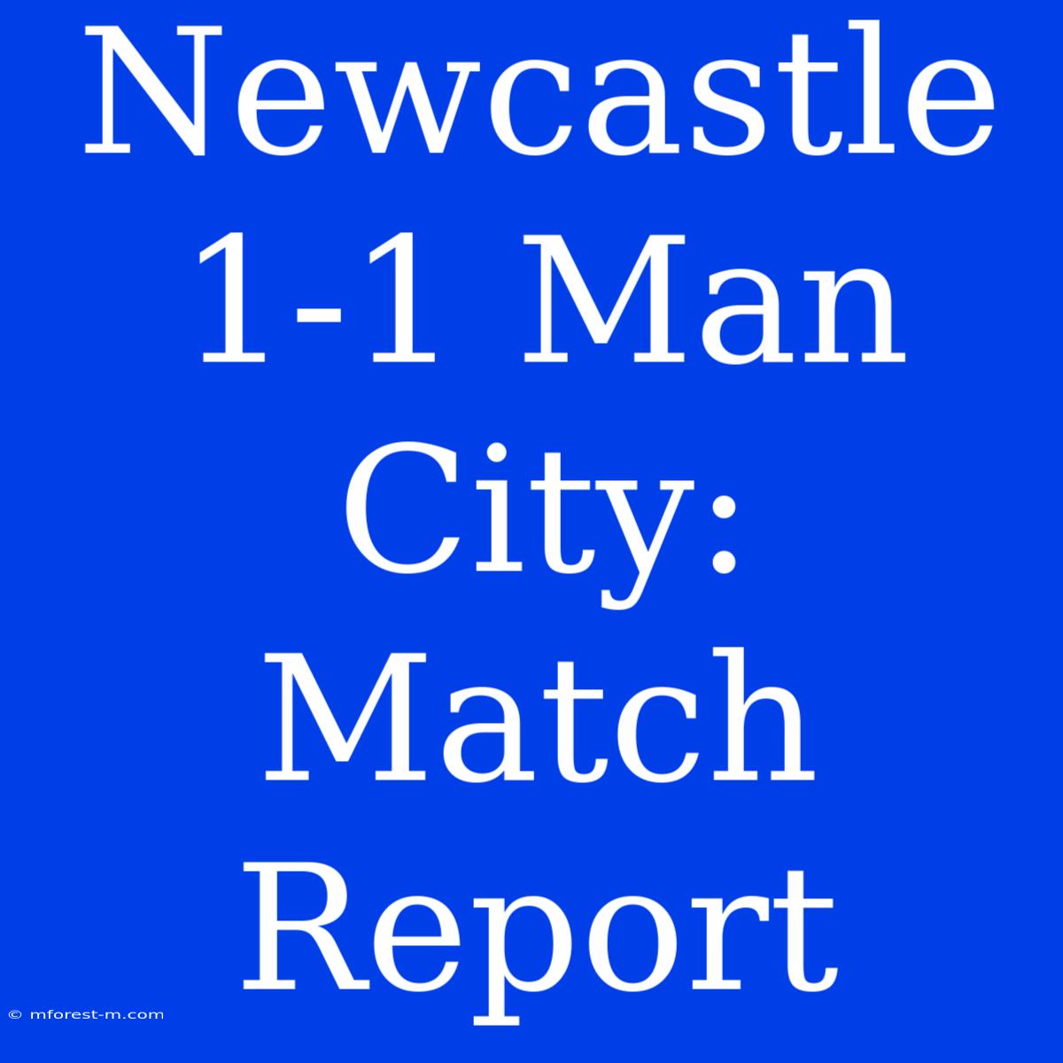 Newcastle 1-1 Man City: Match Report