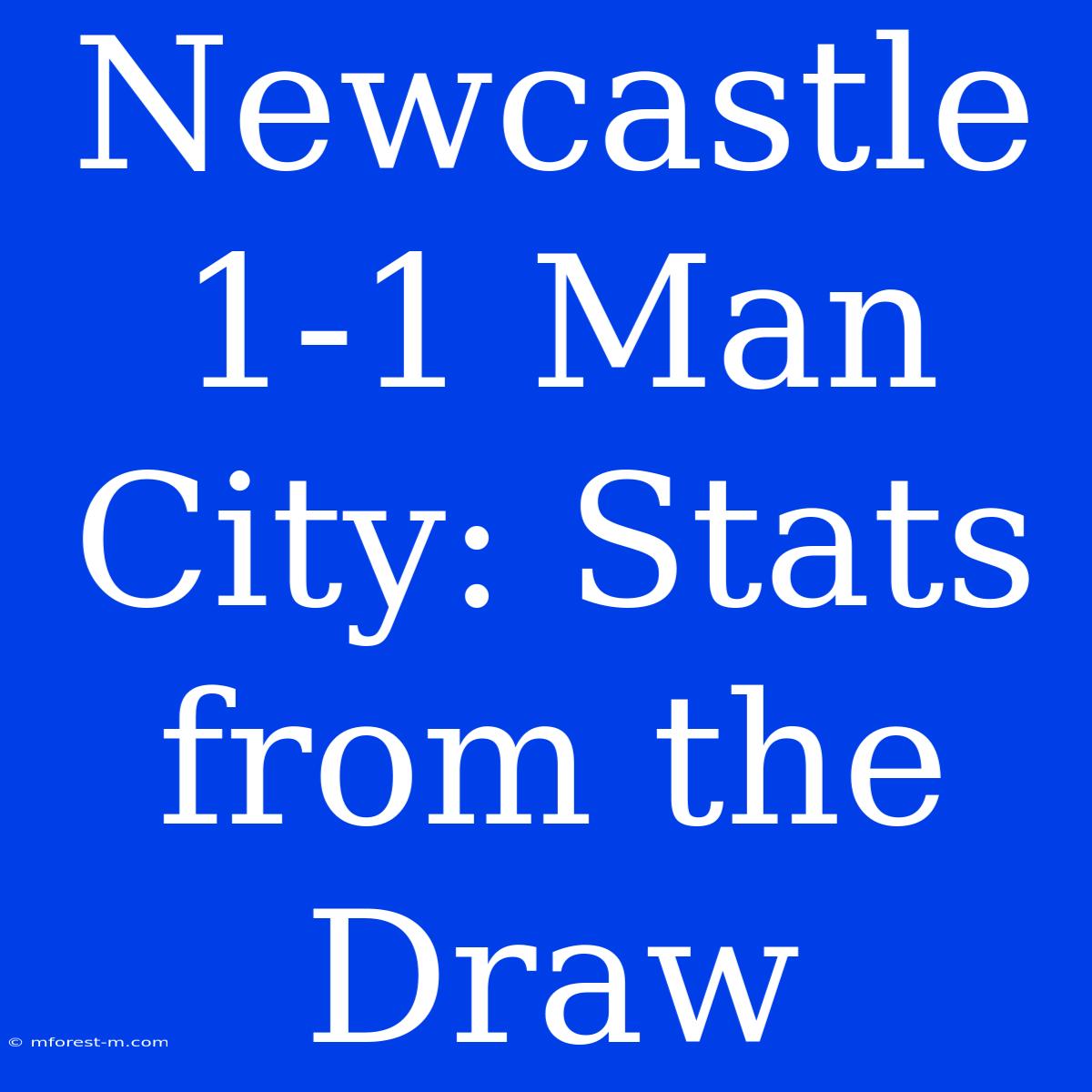 Newcastle 1-1 Man City: Stats From The Draw