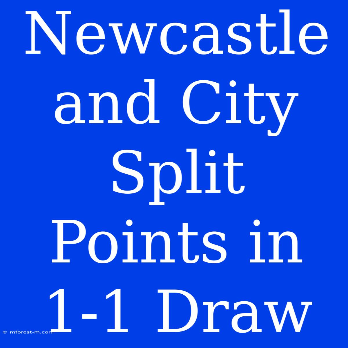 Newcastle And City Split Points In 1-1 Draw 