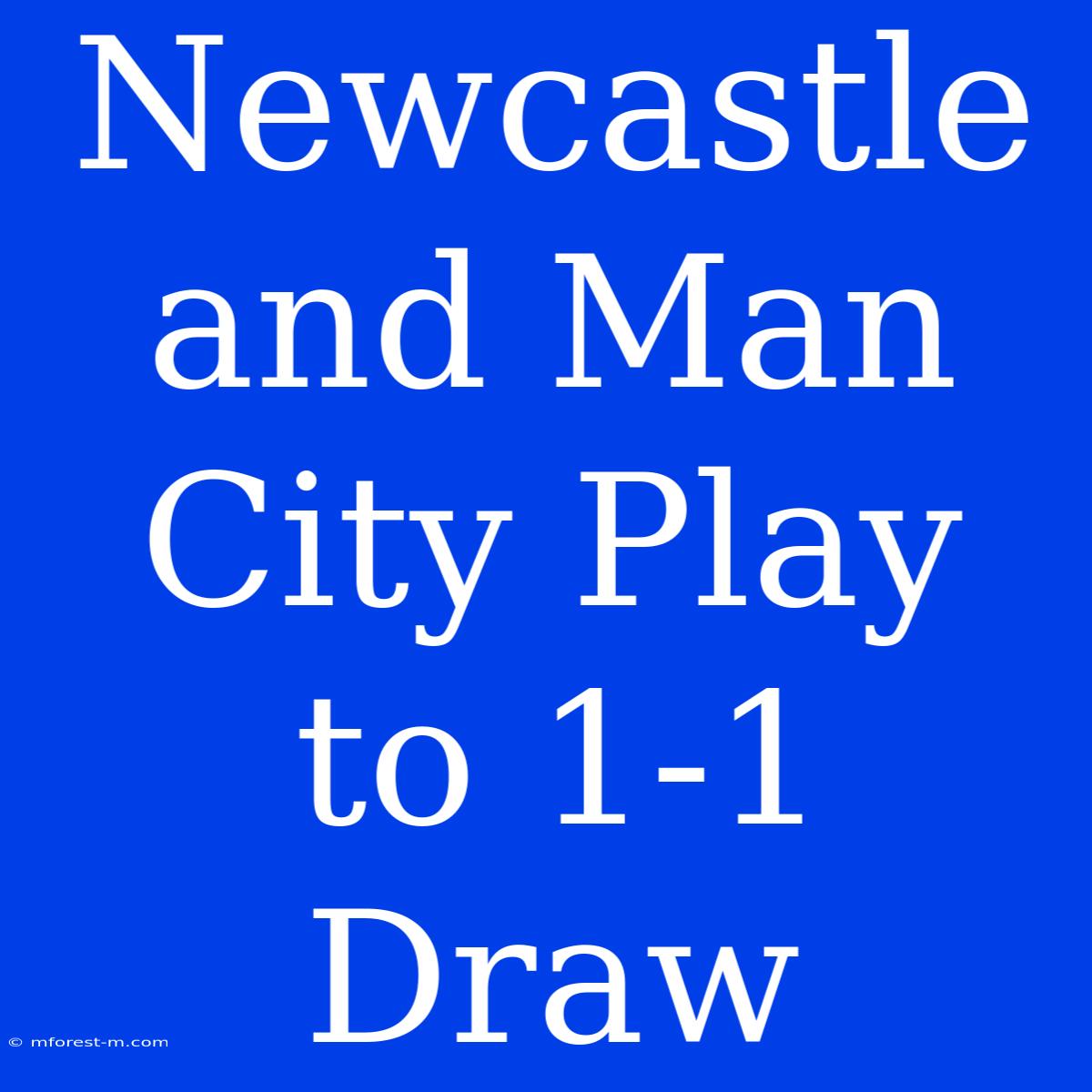 Newcastle And Man City Play To 1-1 Draw