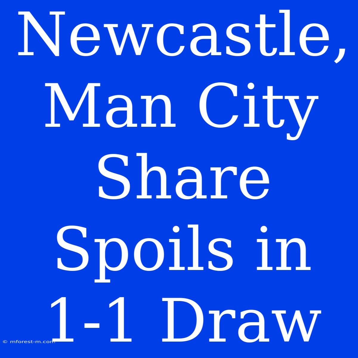 Newcastle, Man City Share Spoils In 1-1 Draw