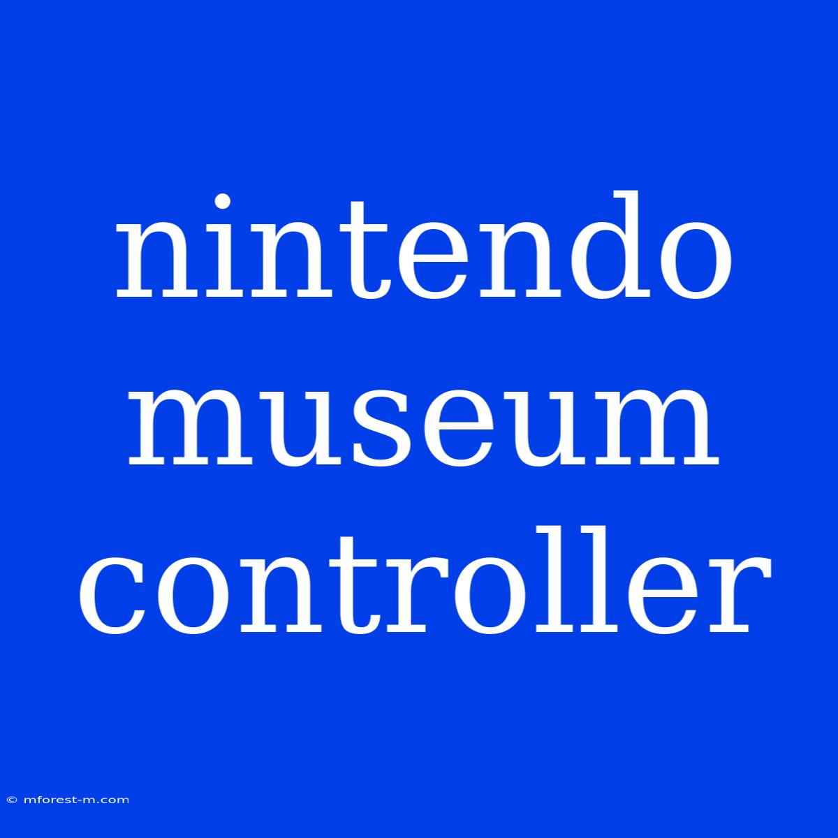 Nintendo Museum Controller