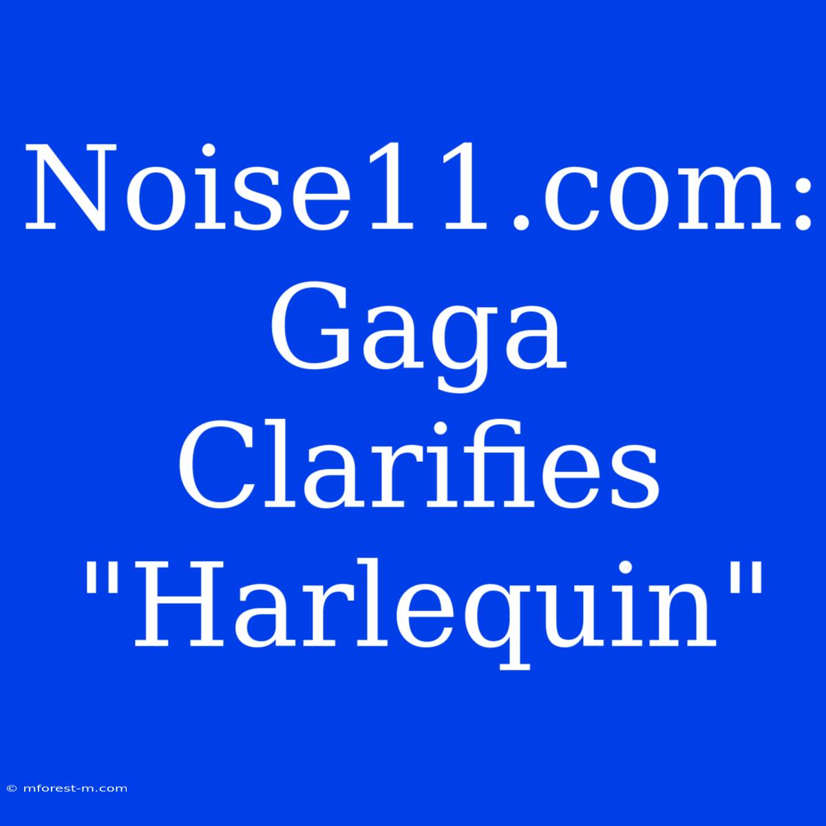 Noise11.com: Gaga Clarifies 