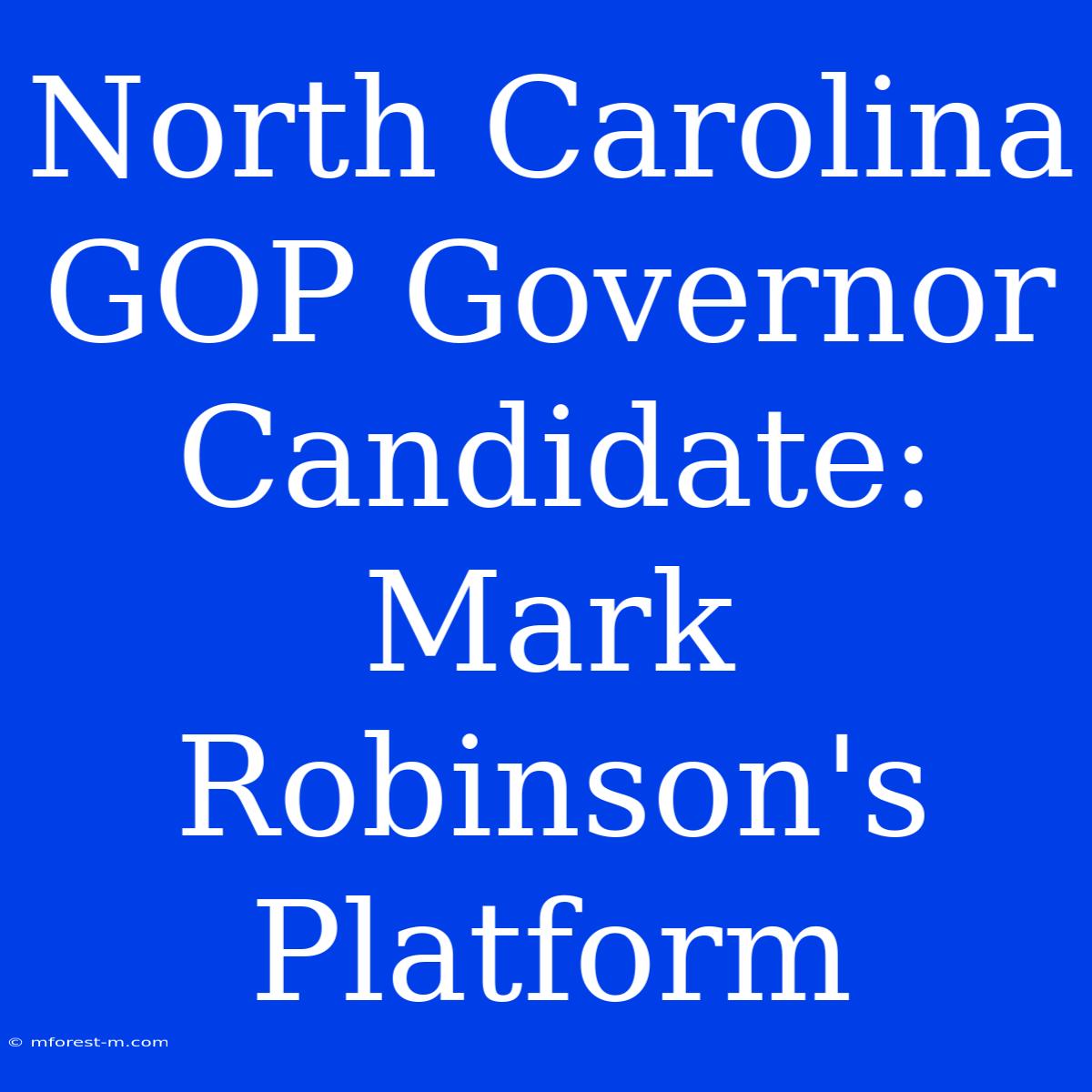 North Carolina GOP Governor Candidate: Mark Robinson's Platform