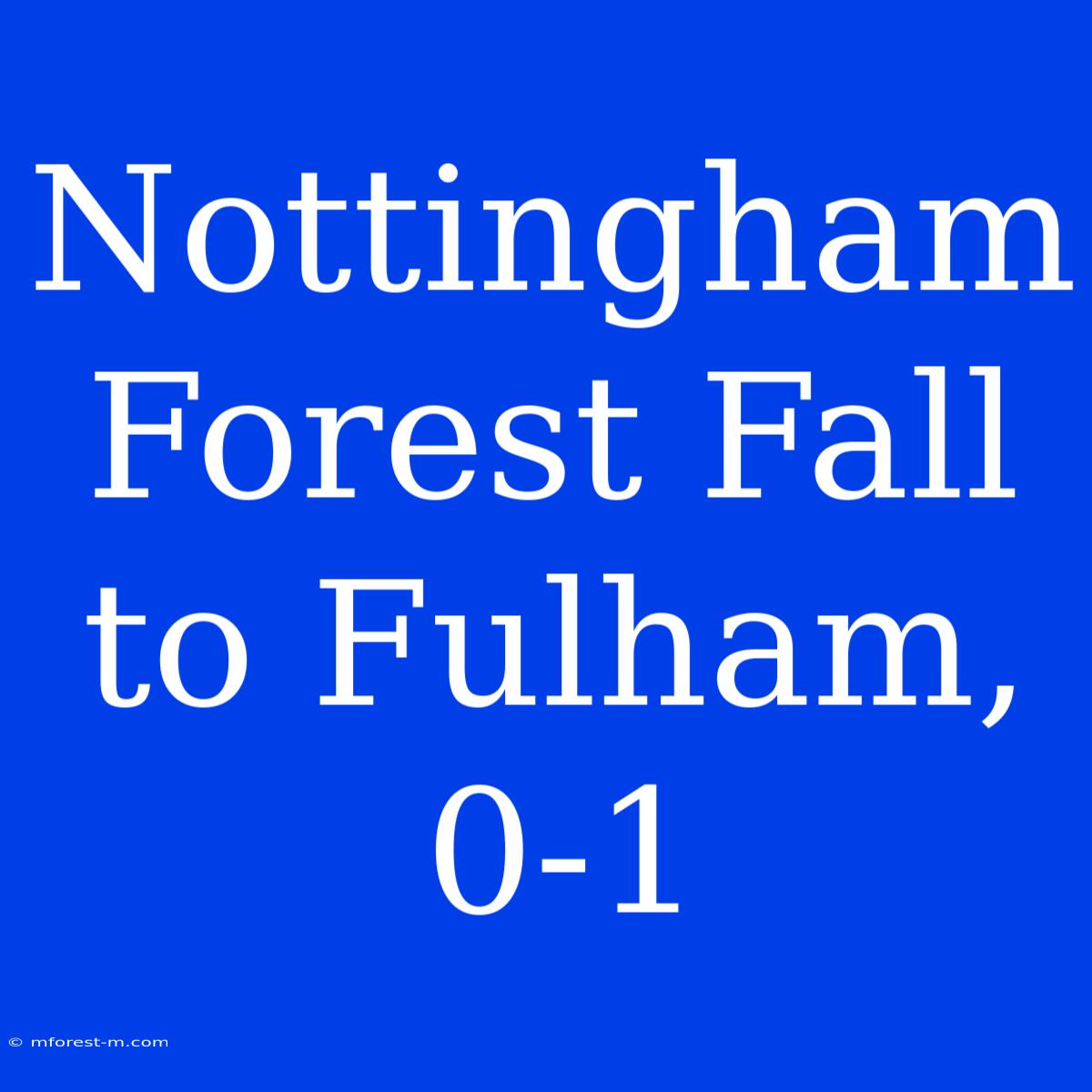 Nottingham Forest Fall To Fulham, 0-1