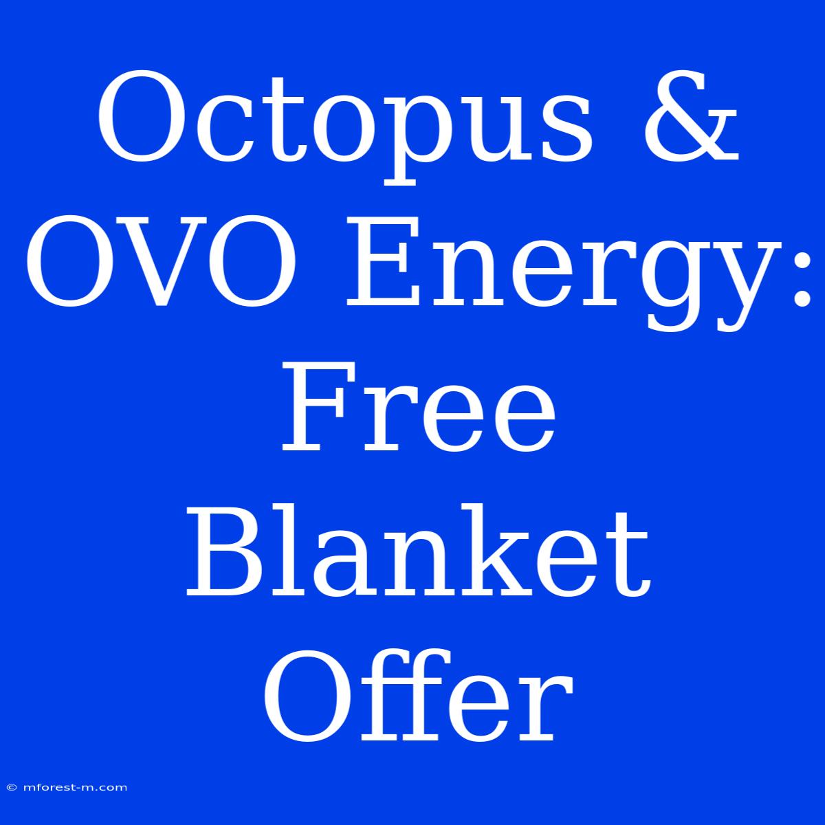 Octopus & OVO Energy: Free Blanket Offer