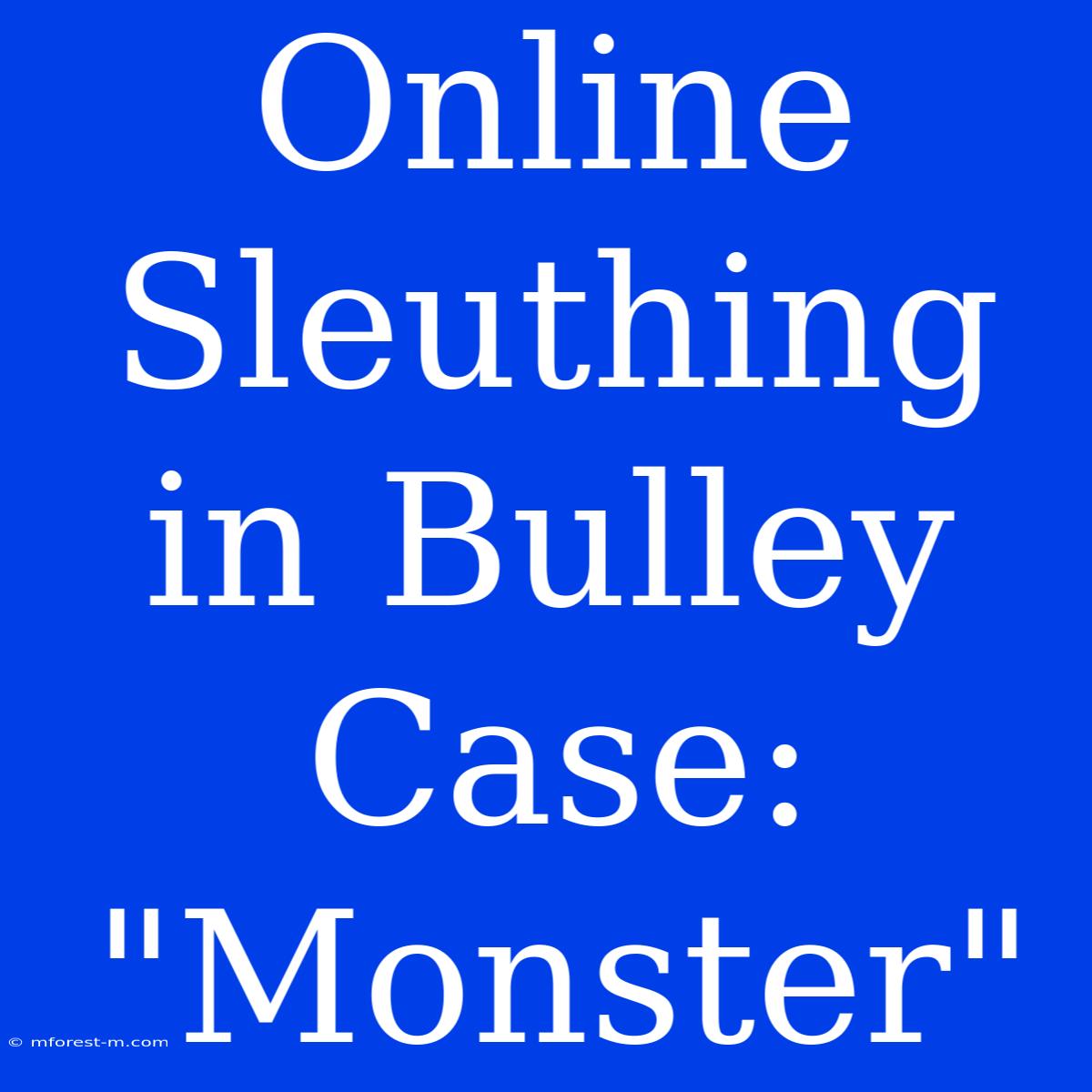 Online Sleuthing In Bulley Case: 