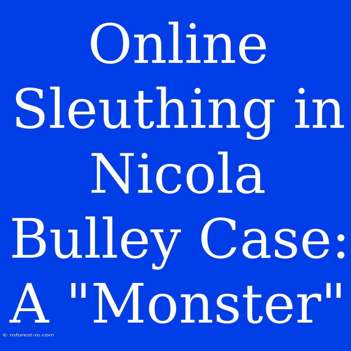 Online Sleuthing In Nicola Bulley Case: A 