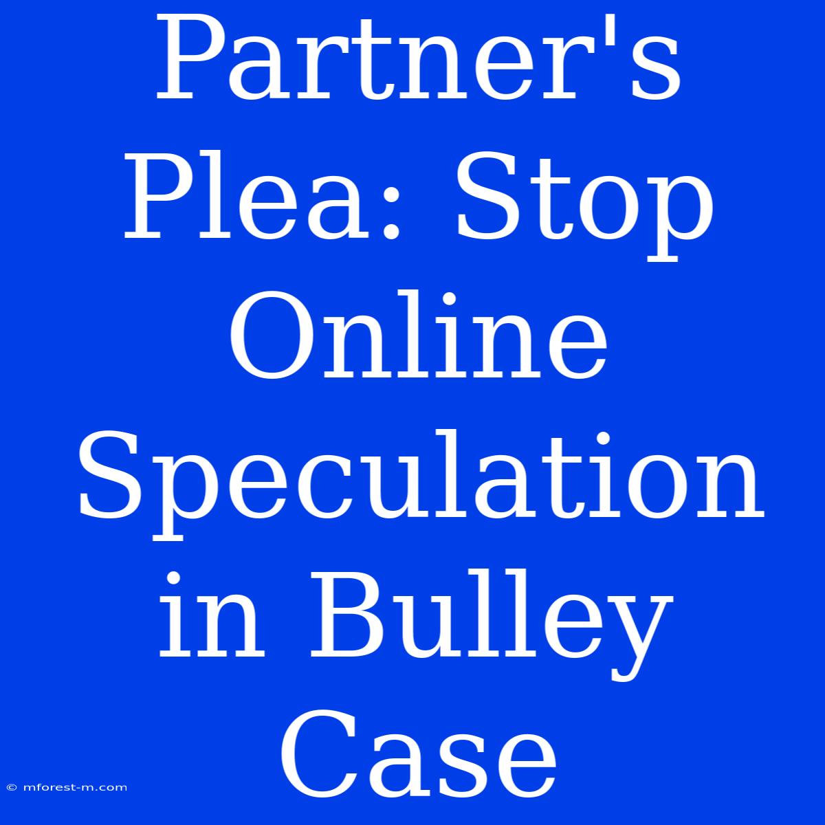 Partner's Plea: Stop Online Speculation In Bulley Case 