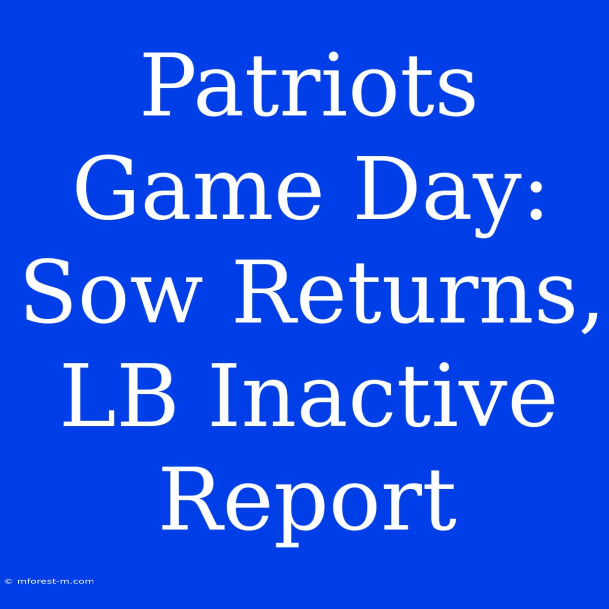 Patriots Game Day: Sow Returns, LB Inactive Report