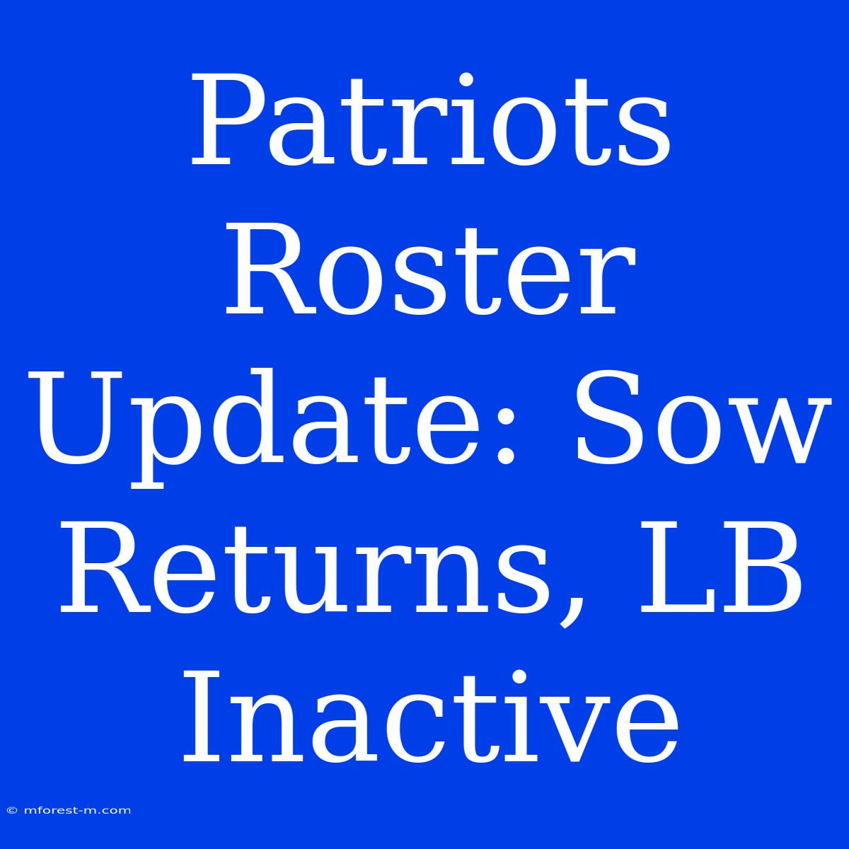 Patriots Roster Update: Sow Returns, LB Inactive