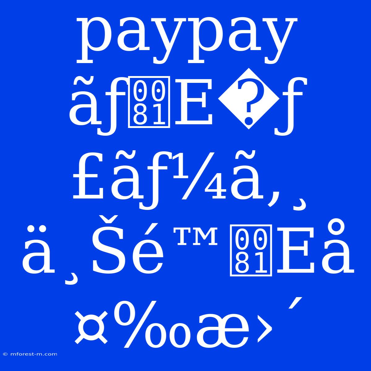 Paypay ÃƒE�ƒ£ãƒ¼ã‚¸ Ä¸Šé™Eå¤‰æ›´