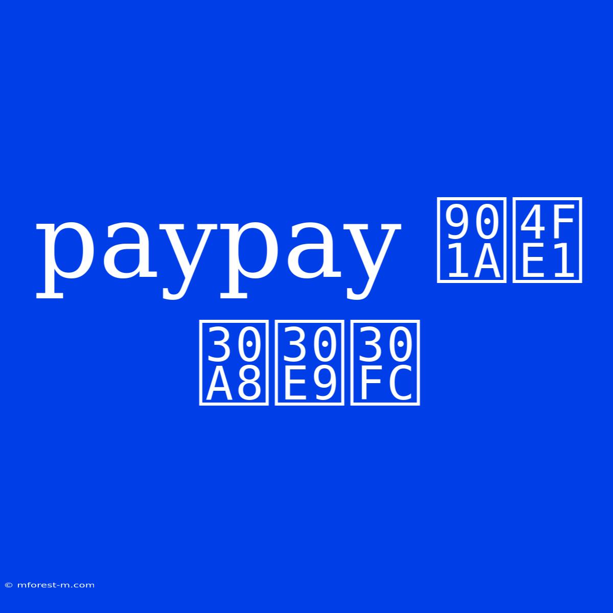 Paypay 通信 エラー