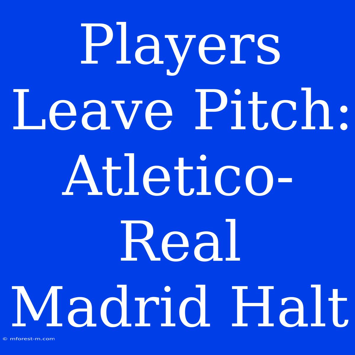 Players Leave Pitch: Atletico-Real Madrid Halt