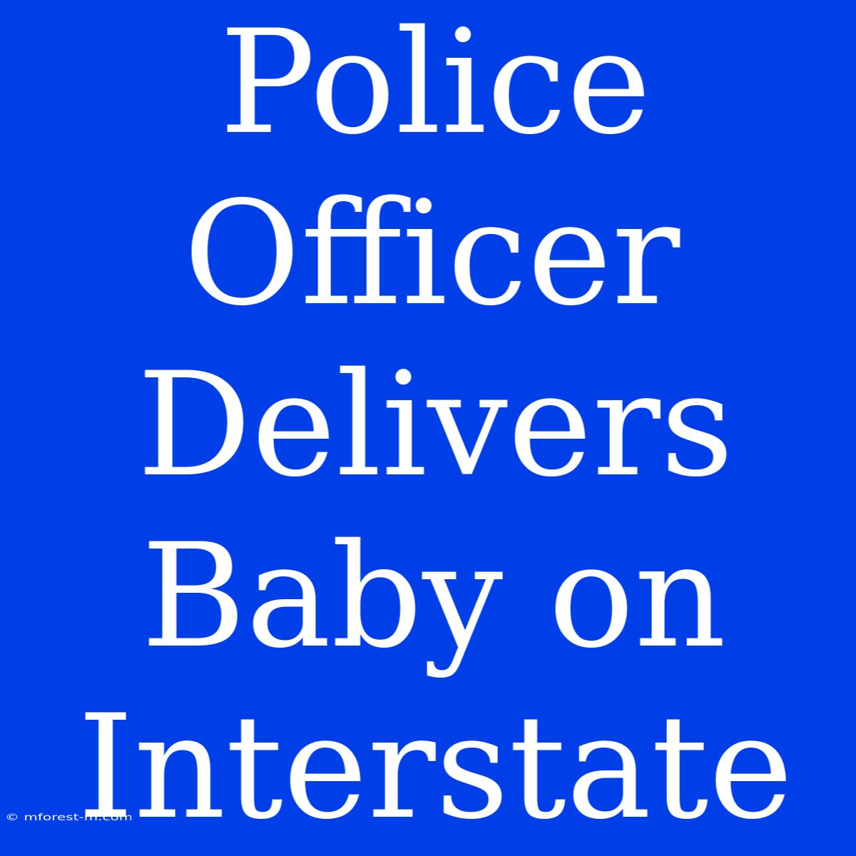 Police Officer Delivers Baby On Interstate