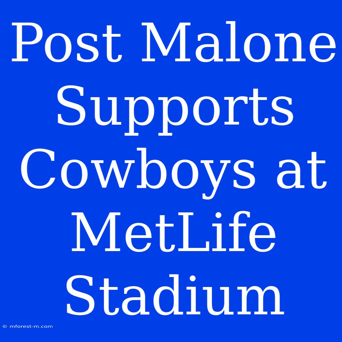 Post Malone Supports Cowboys At MetLife Stadium