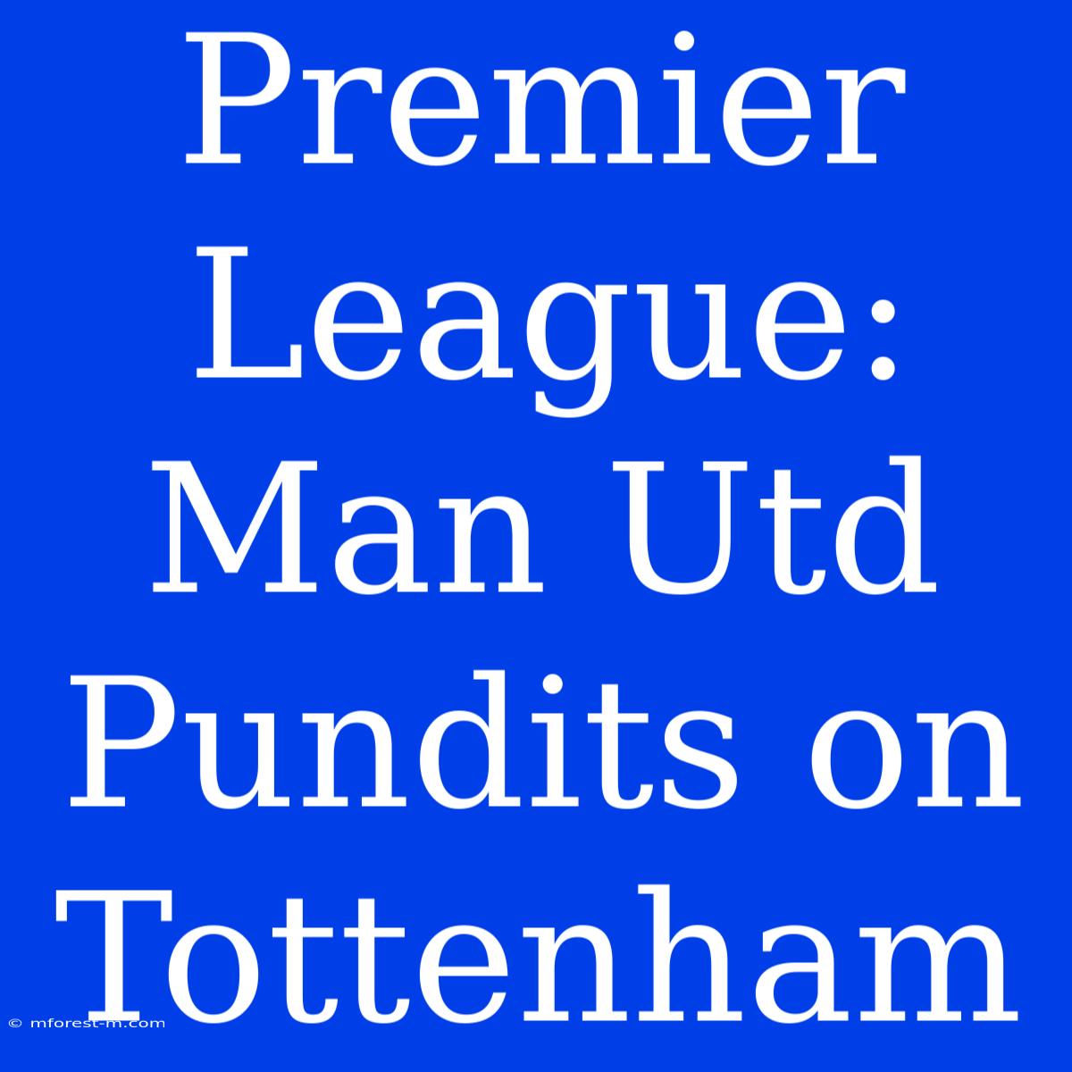 Premier League: Man Utd Pundits On Tottenham