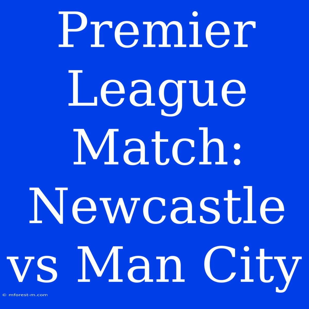 Premier League Match: Newcastle Vs Man City