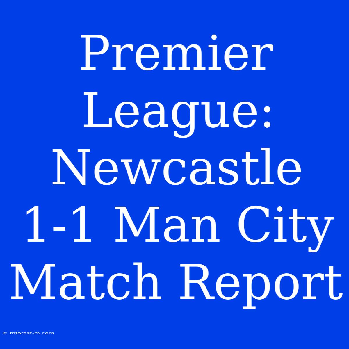 Premier League: Newcastle 1-1 Man City Match Report