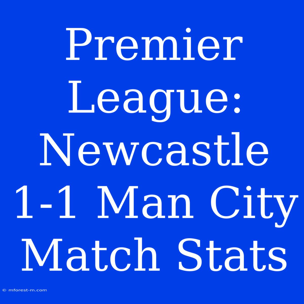 Premier League: Newcastle 1-1 Man City Match Stats