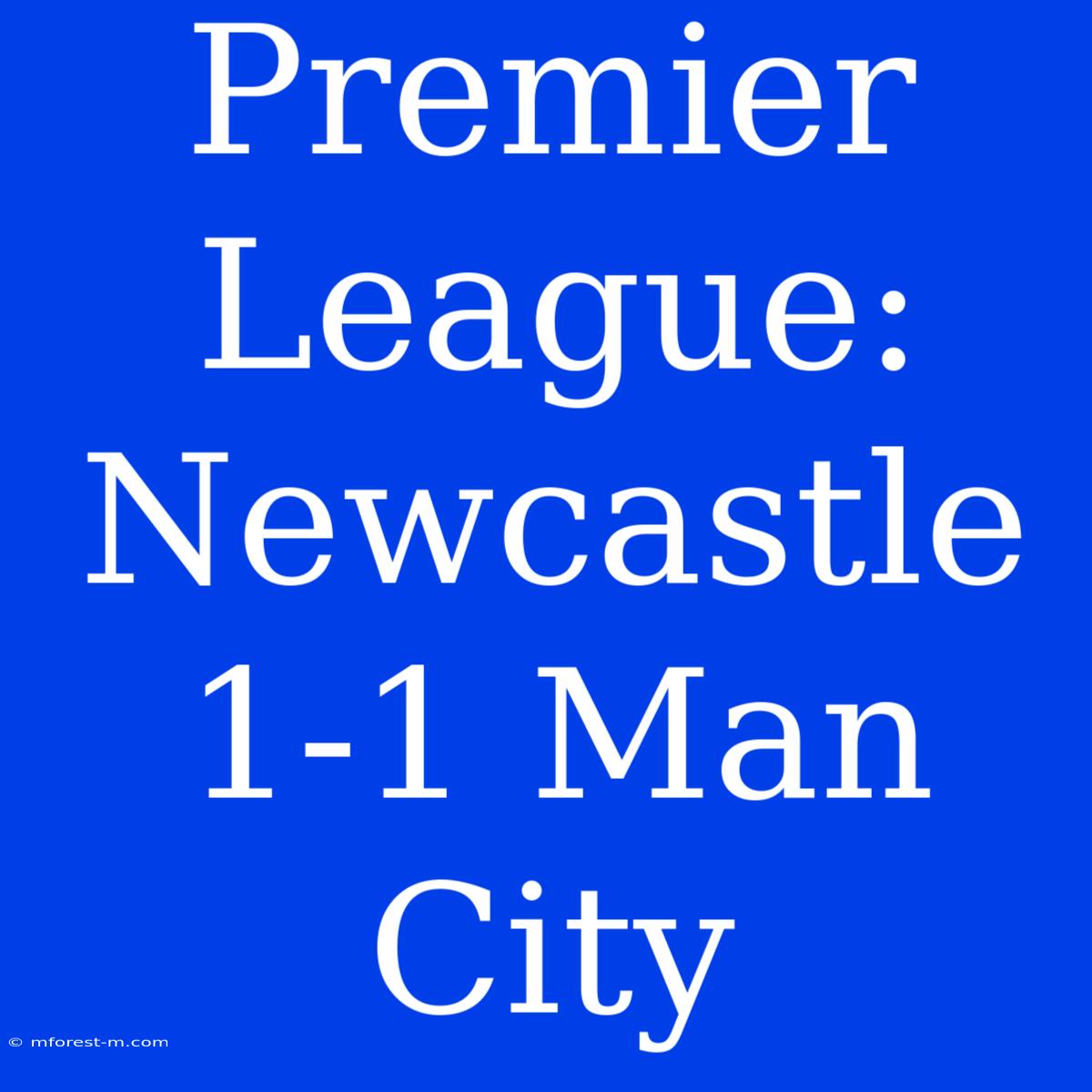 Premier League: Newcastle 1-1 Man City