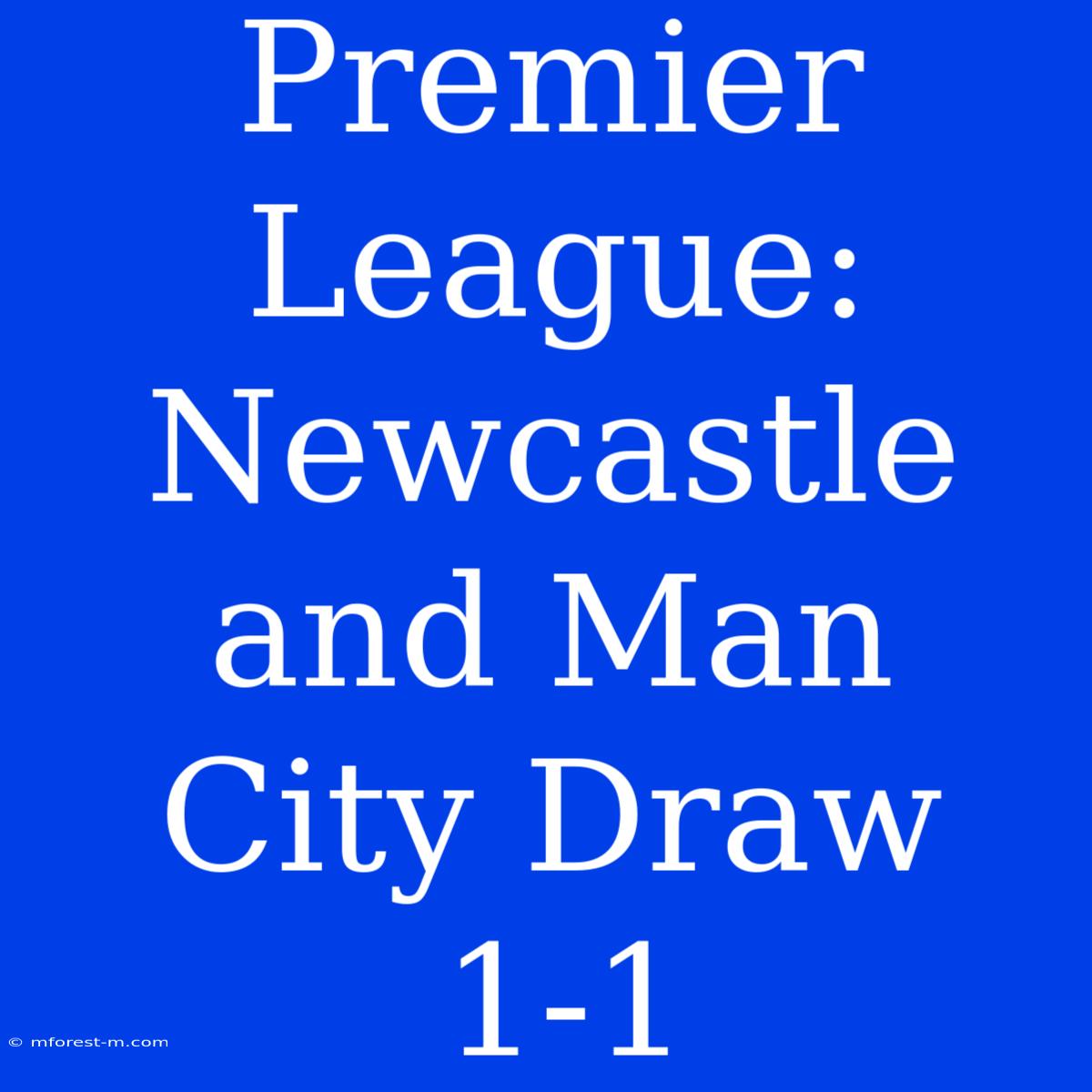 Premier League: Newcastle And Man City Draw 1-1