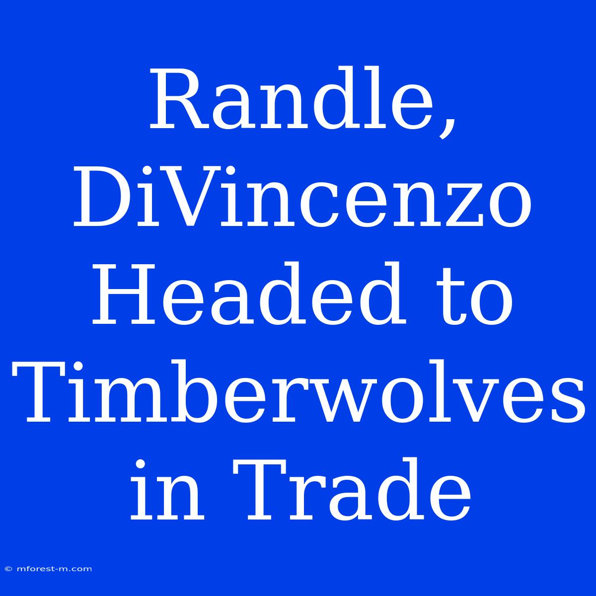 Randle, DiVincenzo Headed To Timberwolves In Trade