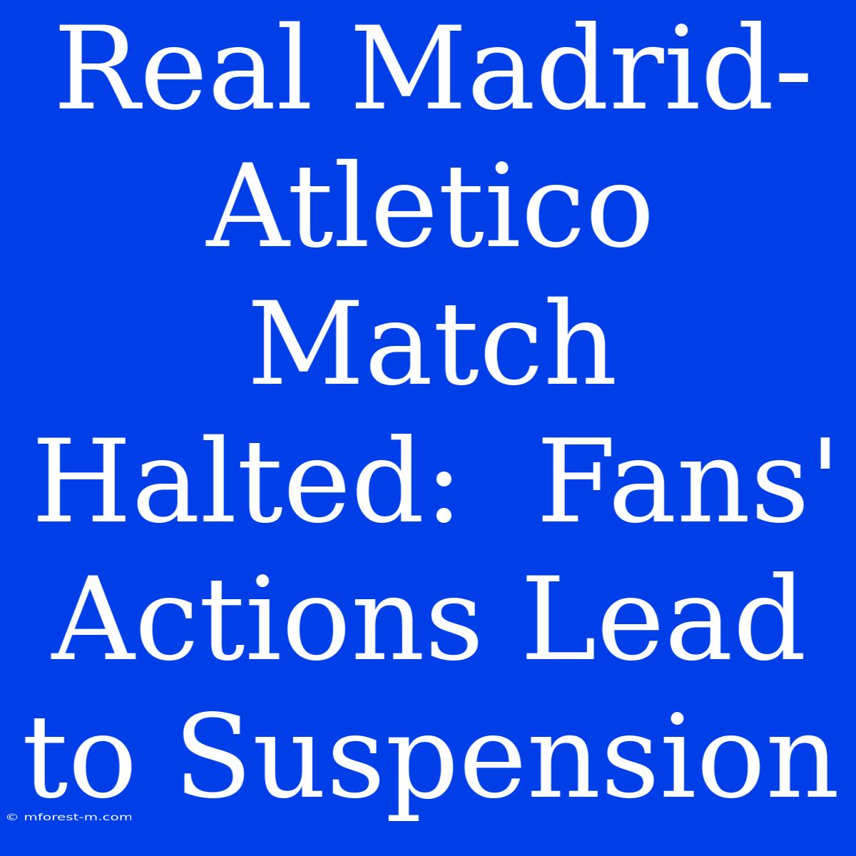 Real Madrid-Atletico Match Halted:  Fans' Actions Lead To Suspension