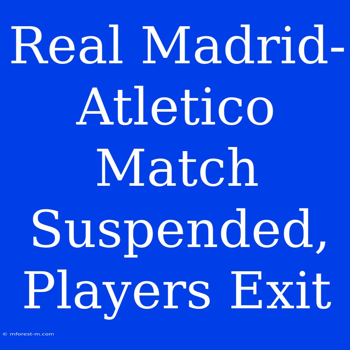 Real Madrid-Atletico Match Suspended, Players Exit