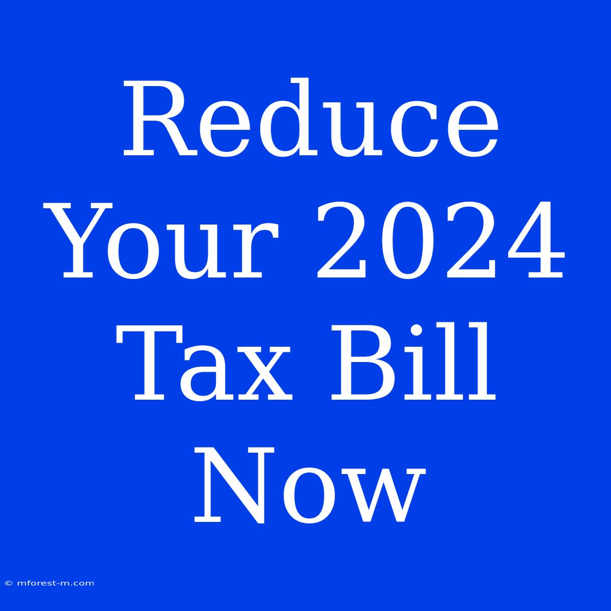 Reduce Your 2024 Tax Bill Now