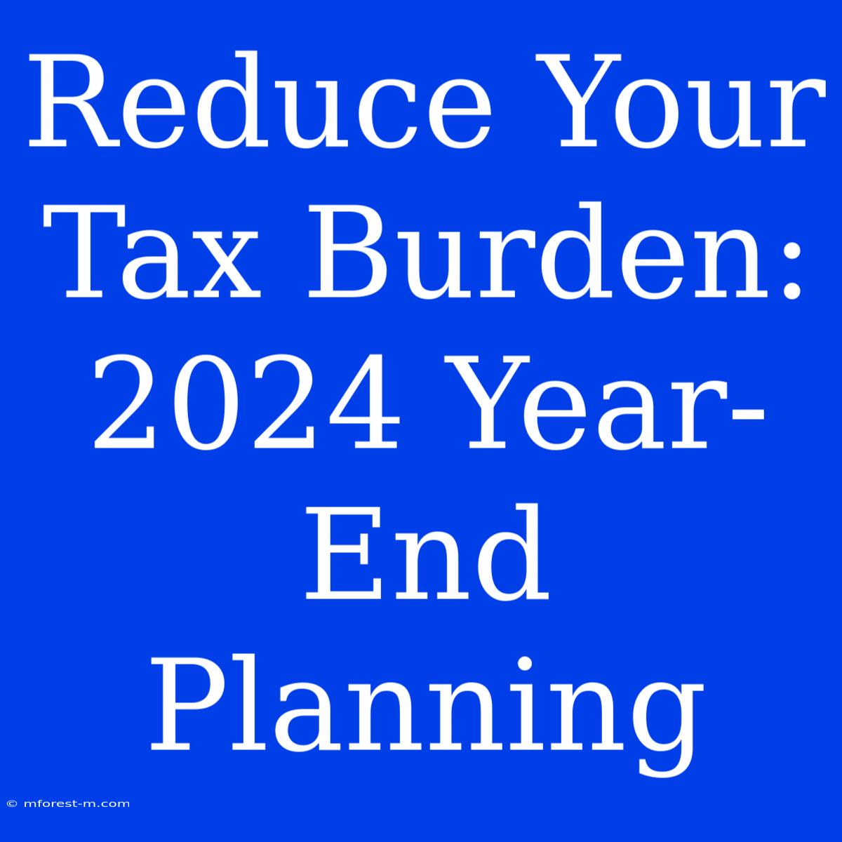 Reduce Your Tax Burden: 2024 Year-End Planning