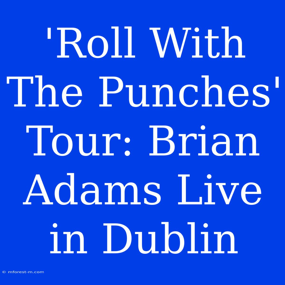 'Roll With The Punches' Tour: Brian Adams Live In Dublin