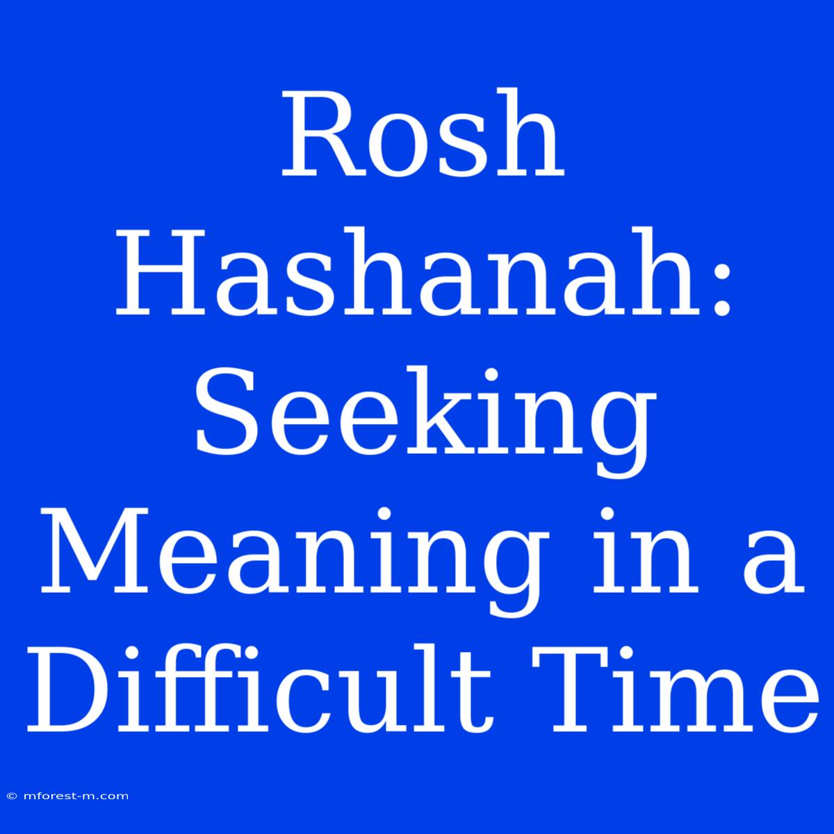 Rosh Hashanah: Seeking Meaning In A Difficult Time 