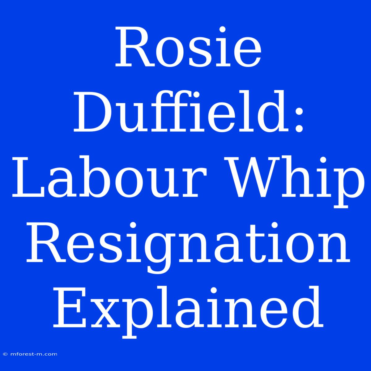 Rosie Duffield: Labour Whip Resignation Explained