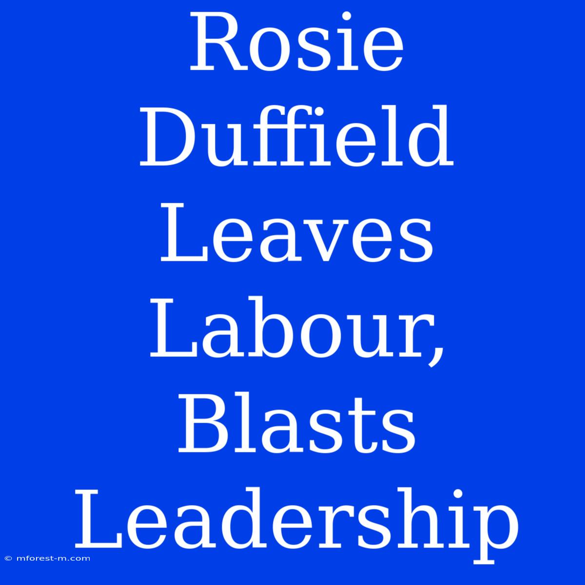 Rosie Duffield Leaves Labour, Blasts Leadership