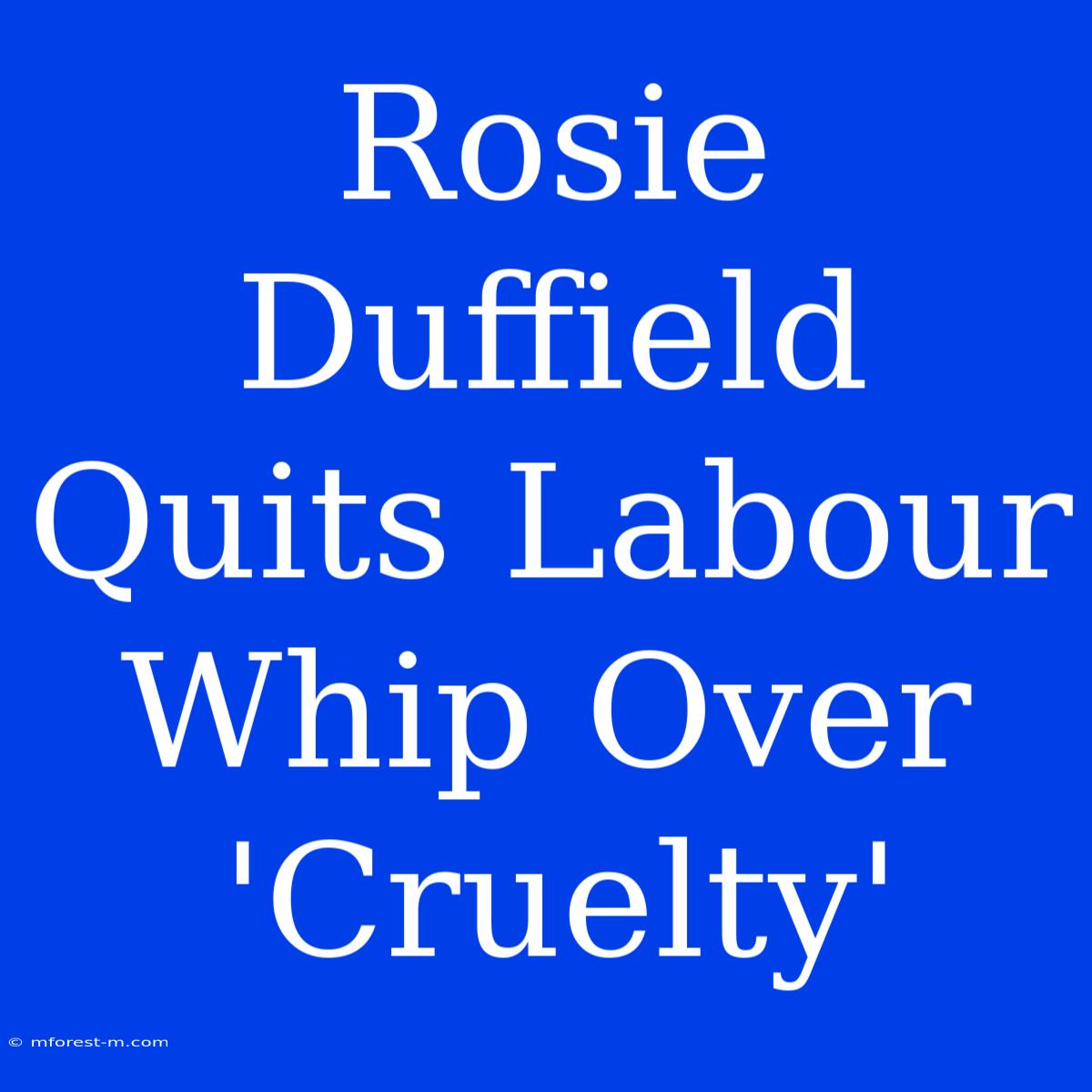 Rosie Duffield Quits Labour Whip Over 'Cruelty'