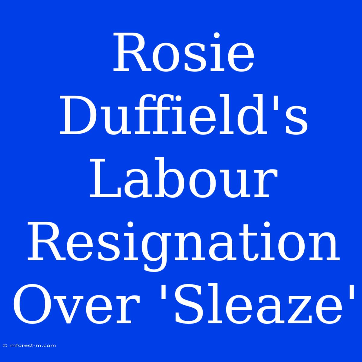 Rosie Duffield's Labour Resignation Over 'Sleaze'