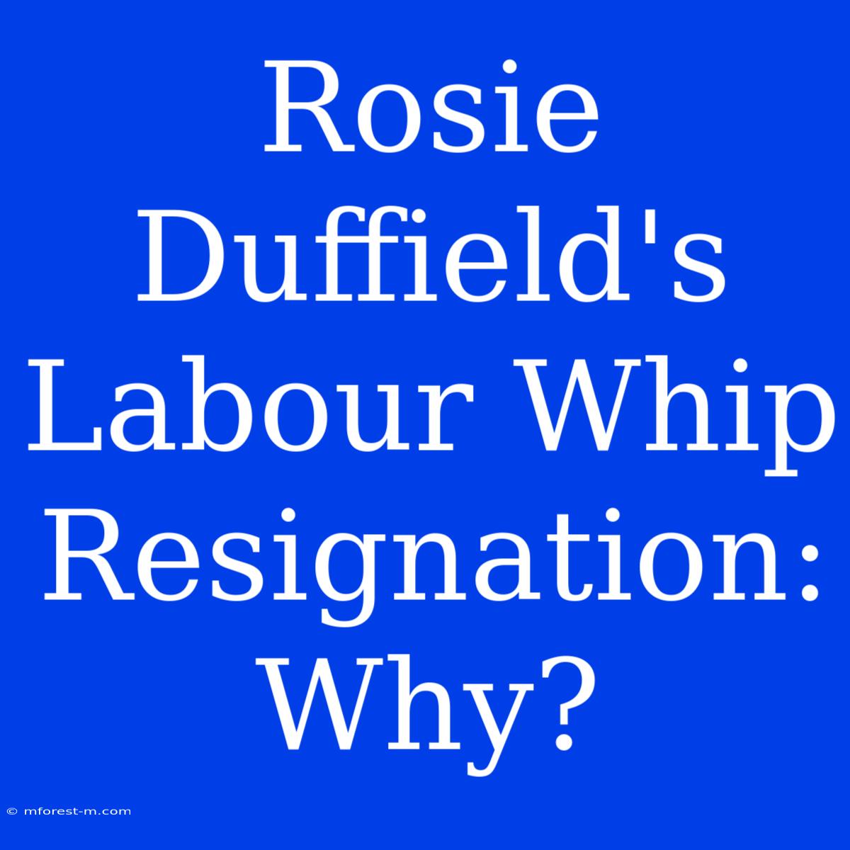 Rosie Duffield's Labour Whip Resignation: Why?