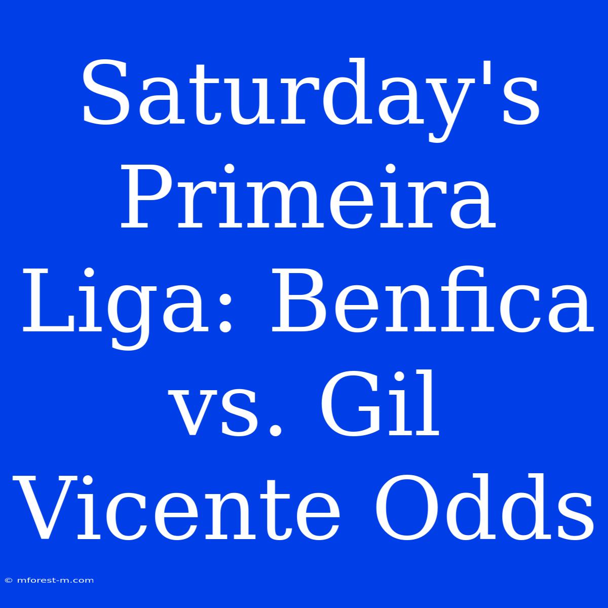 Saturday's Primeira Liga: Benfica Vs. Gil Vicente Odds