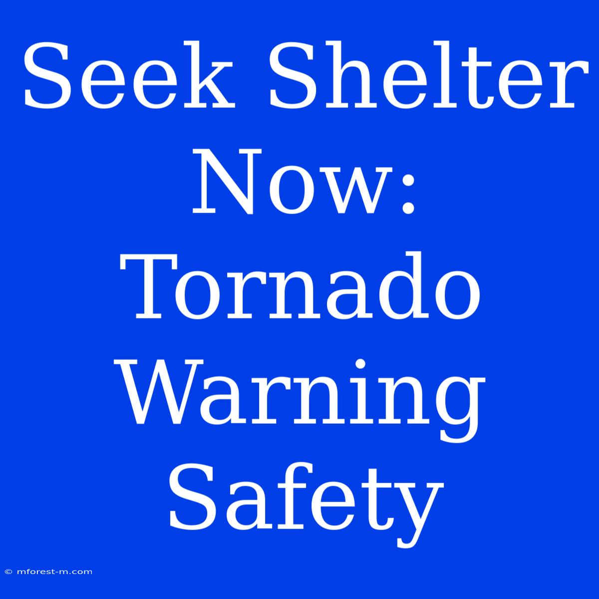 Seek Shelter Now: Tornado Warning Safety