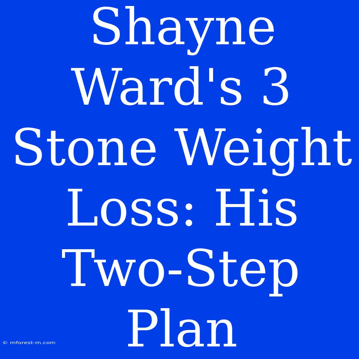 Shayne Ward's 3 Stone Weight Loss: His Two-Step Plan