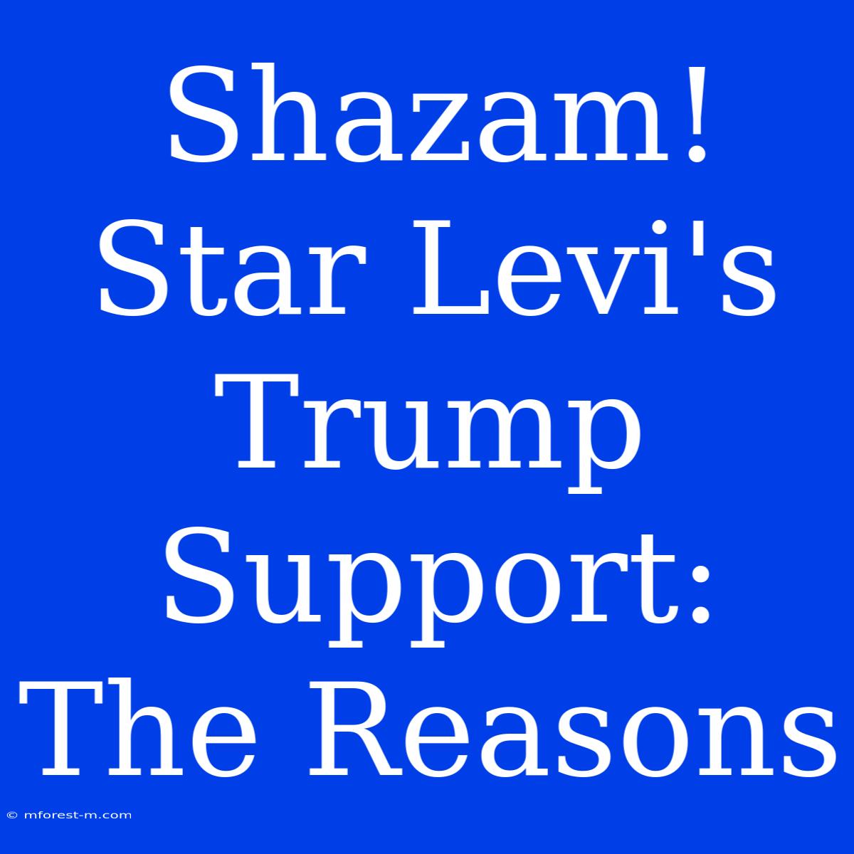 Shazam! Star Levi's Trump Support: The Reasons