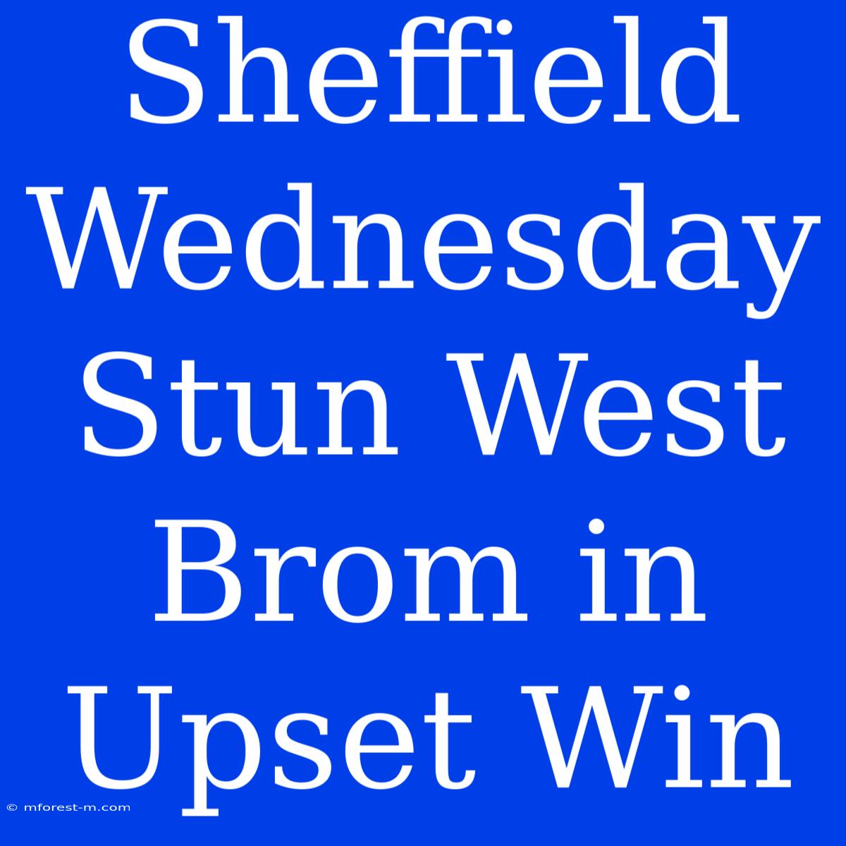 Sheffield Wednesday Stun West Brom In Upset Win