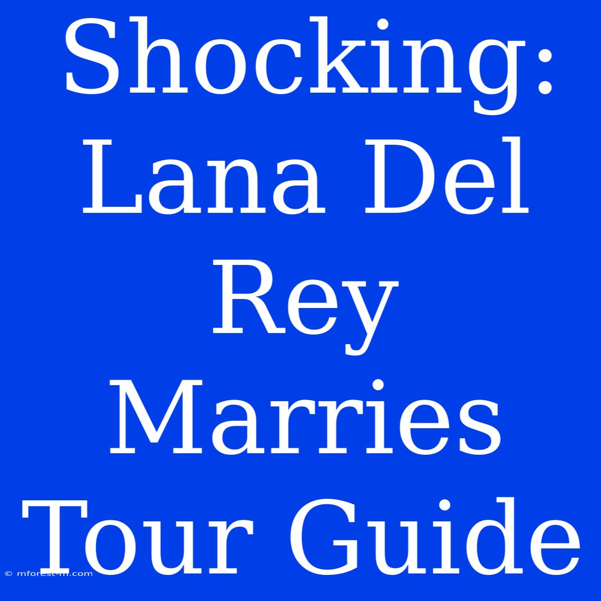 Shocking: Lana Del Rey Marries Tour Guide