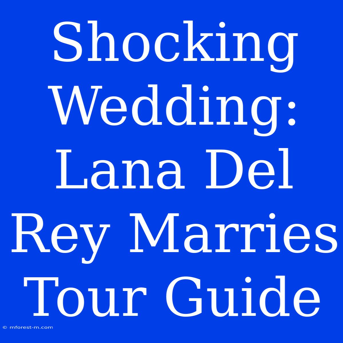 Shocking Wedding: Lana Del Rey Marries Tour Guide