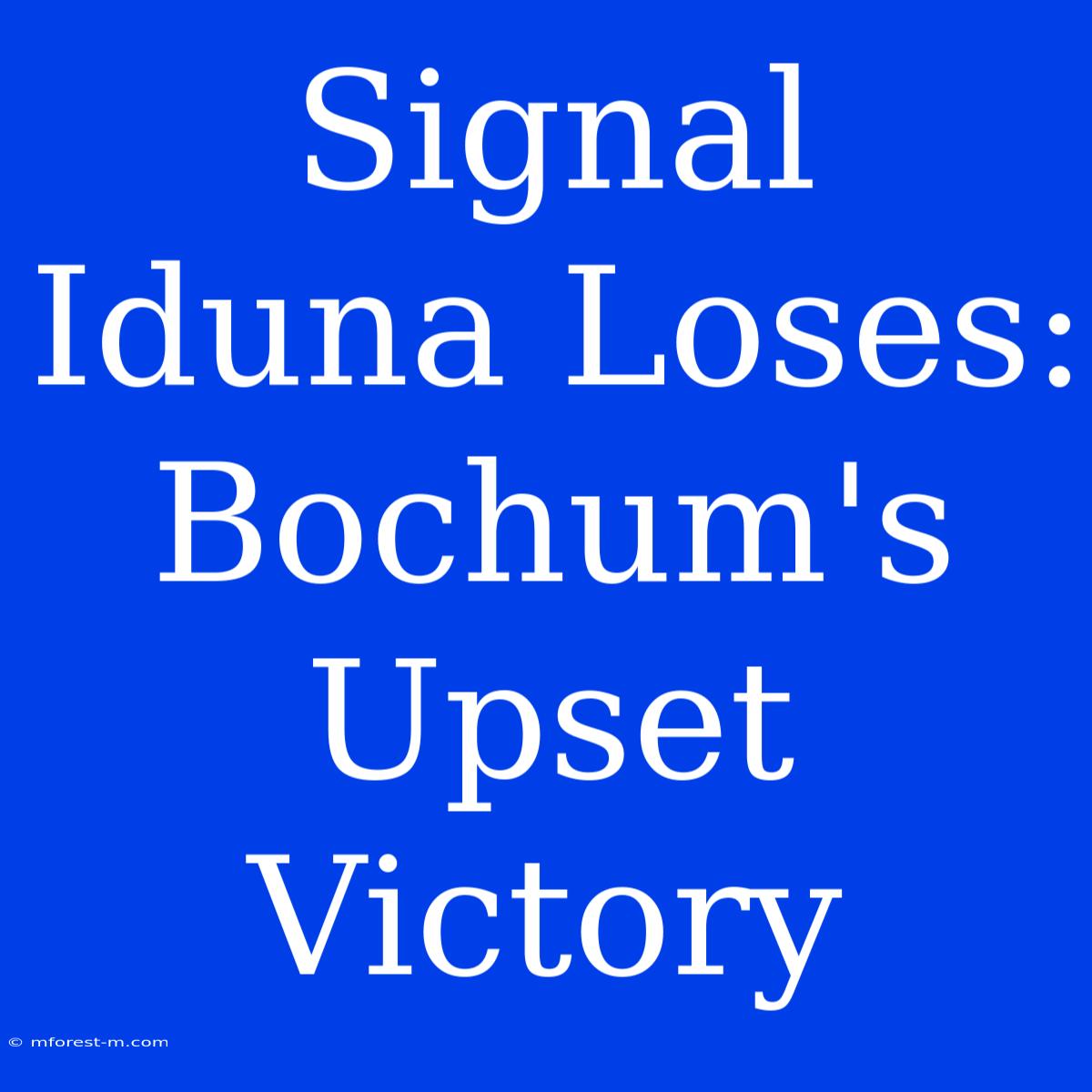 Signal Iduna Loses: Bochum's Upset Victory