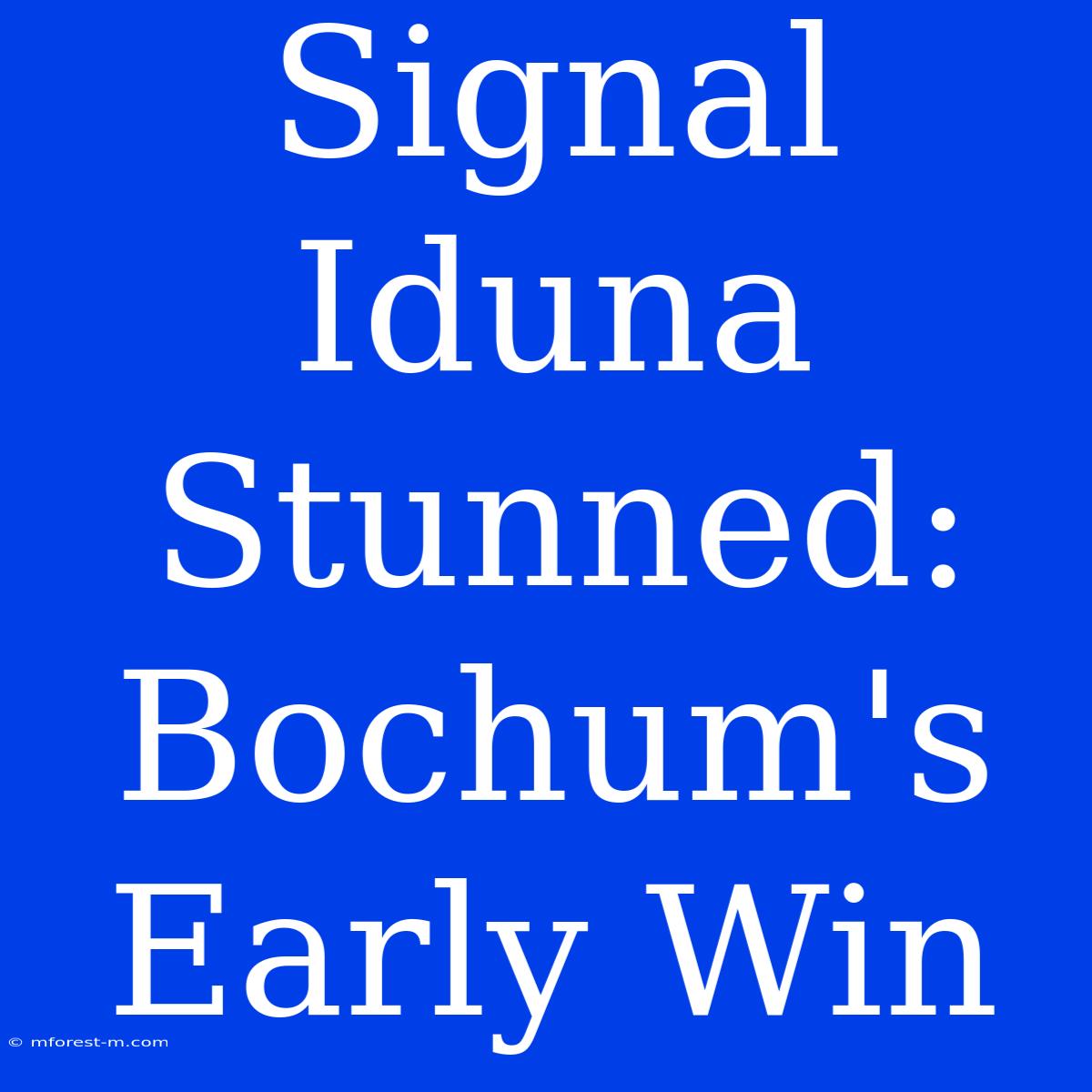 Signal Iduna Stunned: Bochum's Early Win