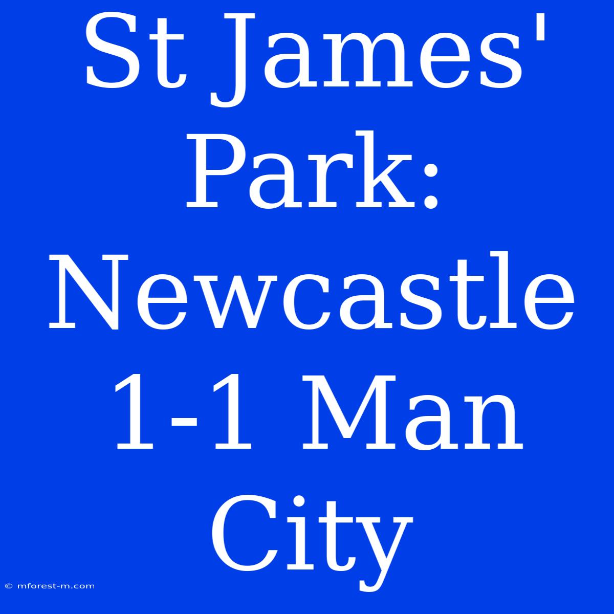 St James' Park: Newcastle 1-1 Man City