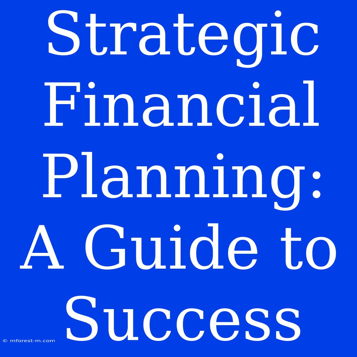 Strategic Financial Planning:  A Guide To Success